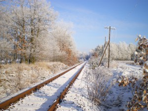 Sonderfahrten durch die Dübender Heide im Winter 2009